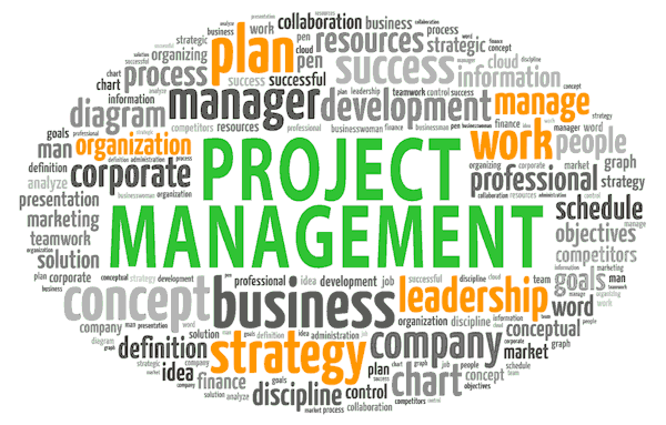 ExportOnline - Analisi del Tuo Business